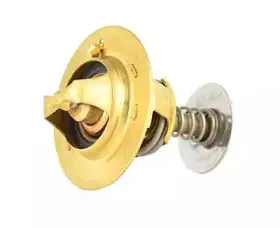 Термостат, охлаждающая жидкость BSG купить